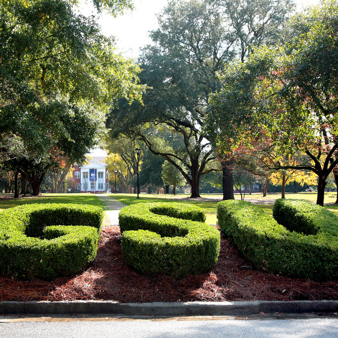 Bette B. Anderson Scholarship